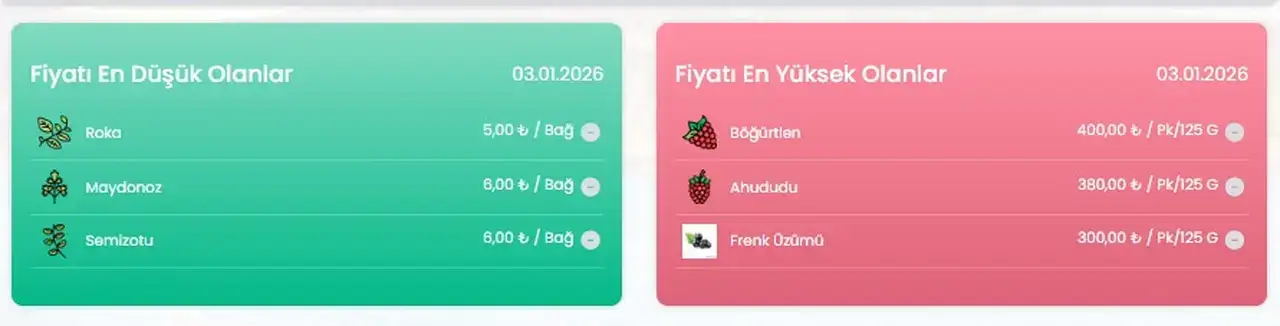 Antalya'da Güncel Sebze Meyve Fiyatları Açıklandı 2